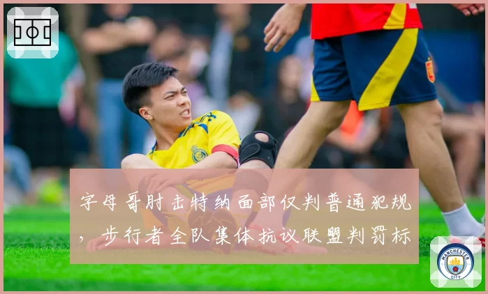 字母哥肘击特纳面部仅判普通犯规，步行者全队集体抗议联盟判罚标准